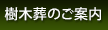 ɂ